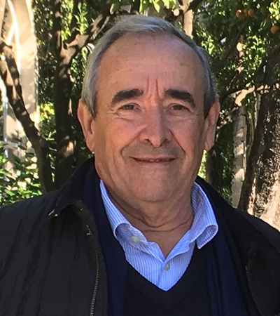 Luis Valero Artola